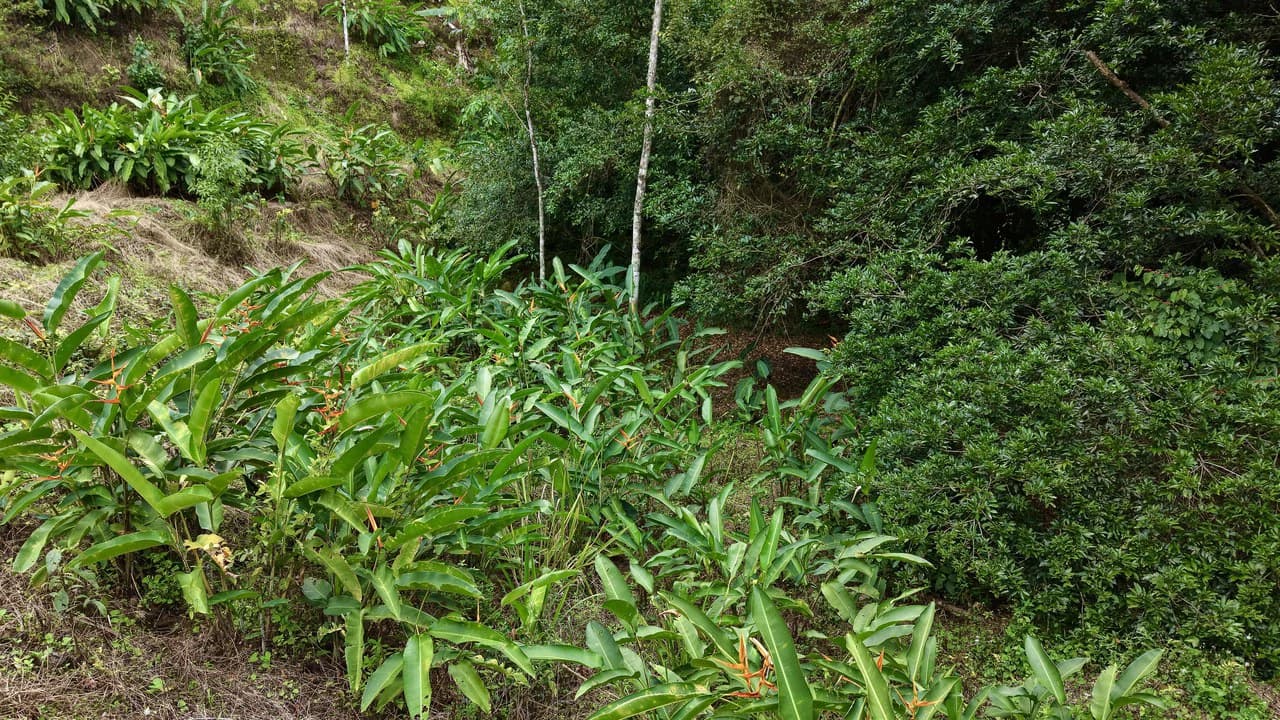 Countryside Home Construction Site For Sale in San Isidro del General - photo 9