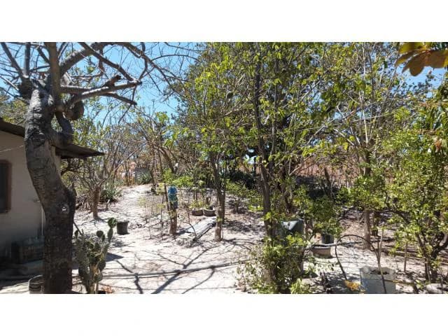 Huge Tico-Farm for sale with a big house in the mountains of Liberia, surrounded by nature and fantastic valley views - photo 10