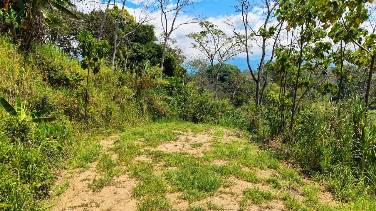 Countryside Home Construction Site For Sale in San Pedro - photo 11