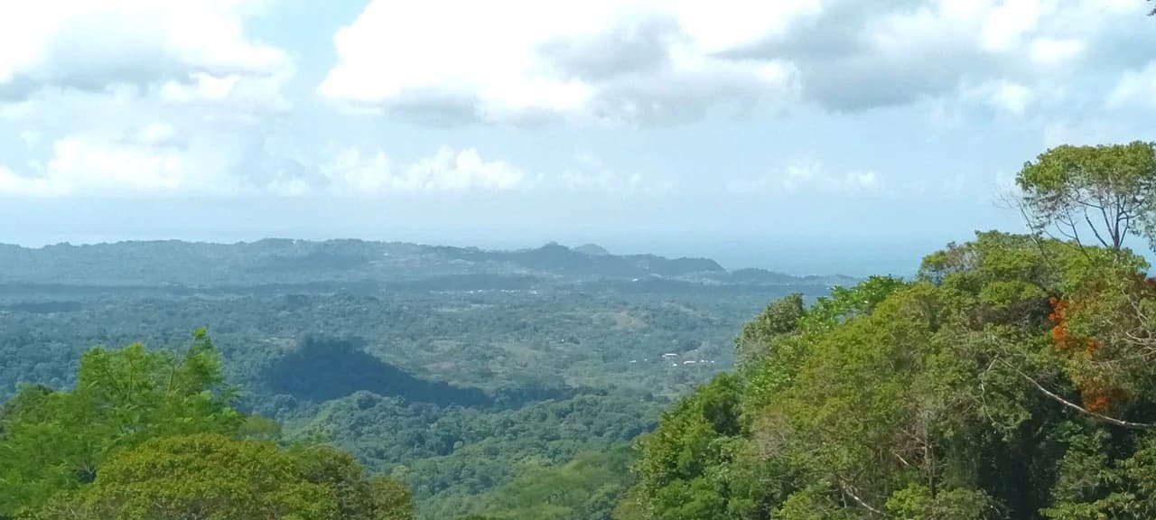 SECLUDED PARADISE WITH STUNNING VIEWS, WATERFALLS & ABUNDANT WILDLIFE - photo 14