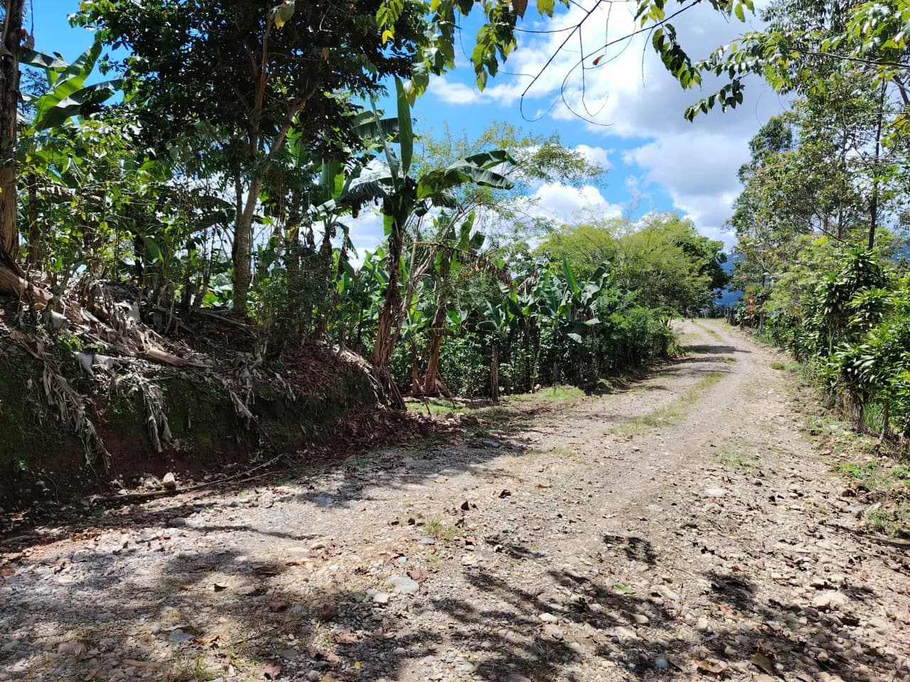 Countryside Home Construction Site For Sale in Guadalupe - photo 4