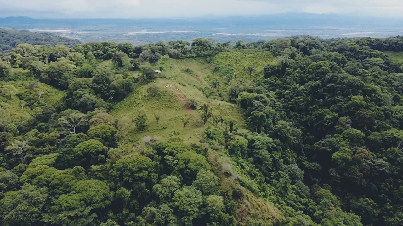 Near the Coast Home Construction Site For Sale in Osa - photo 13