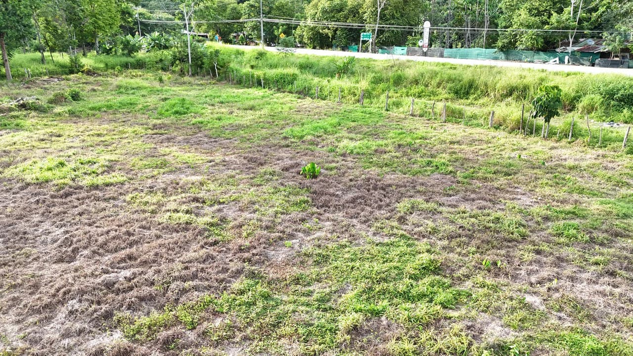 COMMERCIAL LOT IN CORONADO! MAIN HIGHWAY, 1.6 ACRES!: Mountain Home Construction Site For Sale in Puerto Cortés - photo 14