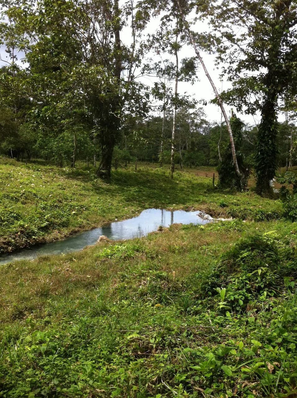 Hot and Cold Thermal Springs for Sale – Beautiful Property in Dos Ríos, Alajuela with Excellent Commercial Potential - photo 77