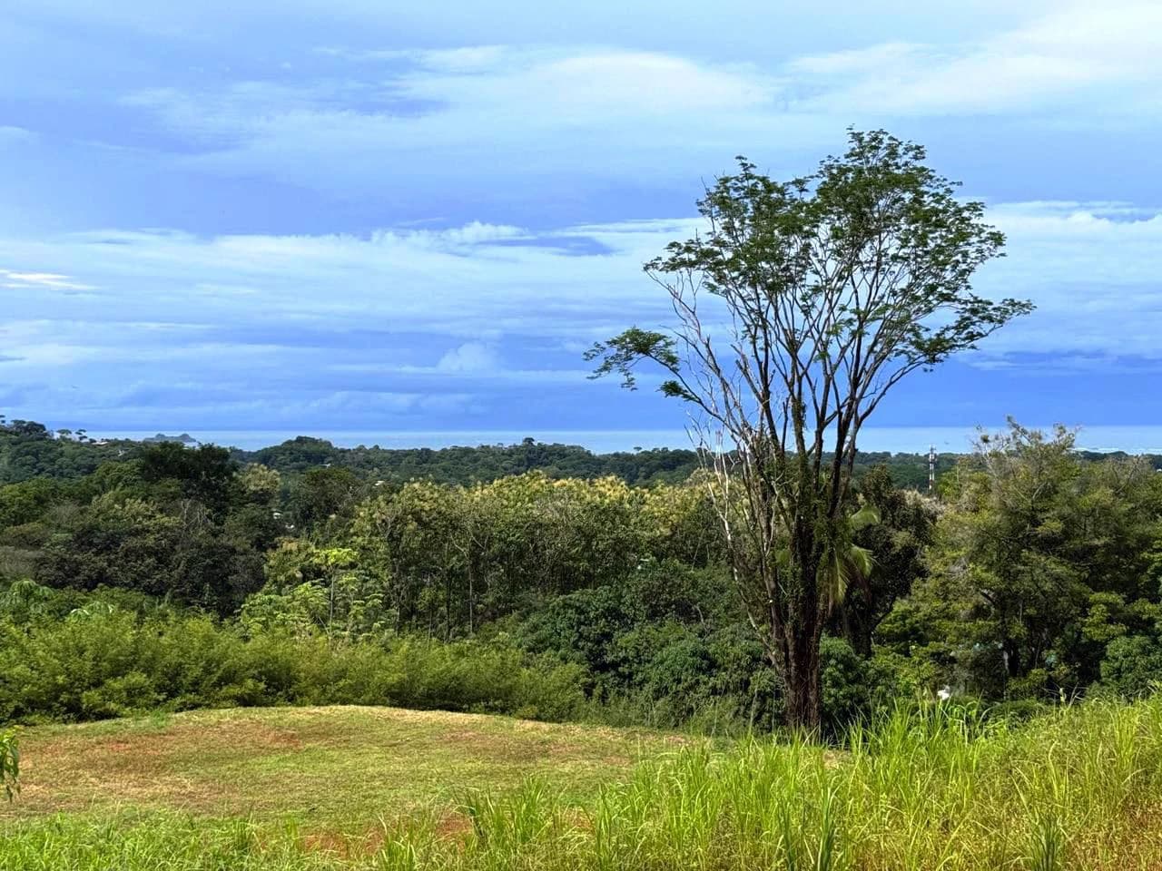 Prime Ocean View Development Property in Downtown Uvita - photo 12