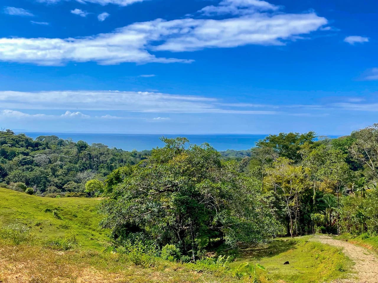 2.24 ACRES – 7 Bedrooms Ocean View Boutique Hotel With Two Pools, 5 Minutes to Uvita, Multiple Rental Options!! - photo 11