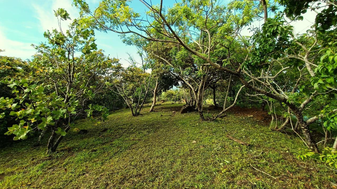 Hill top house with amazing sunset views GB0125: Peaceful Retreat with developing Potential: Property with 2 Homes and Panoramic Views in Guayabo de Bagaces - photo 29