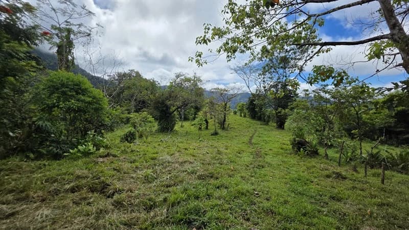 116-Hectare Finca for Sale Near Uvita with Whales Tail Views and 10 Waterfalls | La Faralla, Bahia Ballena, Uvita, Puntarenas, Costa Rica - photo 24