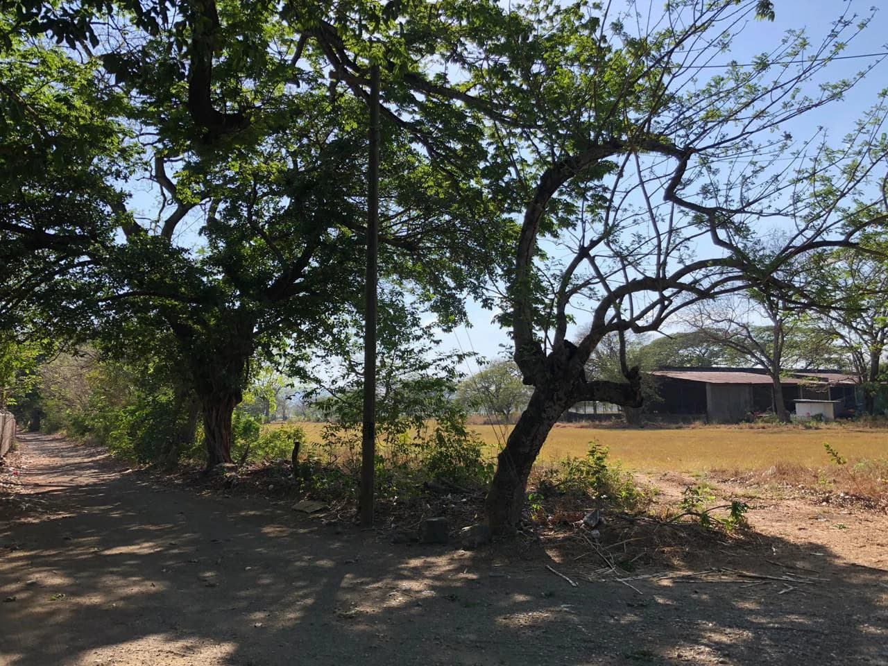 Large property with warehouses in Filadelfia, Carrillo - photo 2
