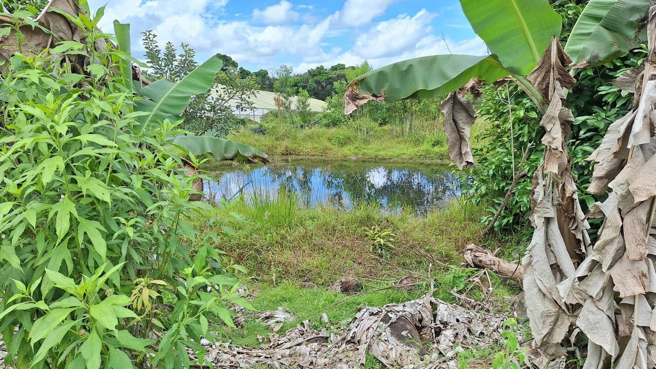 Se vende lote agrícola, en Cajón, Perez Zeledon.: Mountain Home Construction Site For Sale in Cajón - photo 12