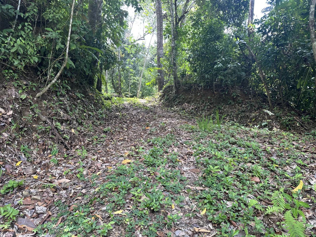 Ocean View Estate Lot with Private Waterfall – Uvita - photo 24