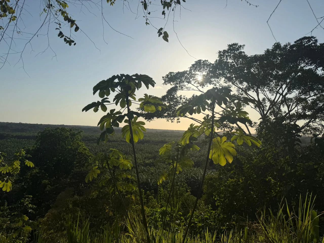 Near the Coast Home Construction Site For Sale in Ciudad Cortés - photo 3