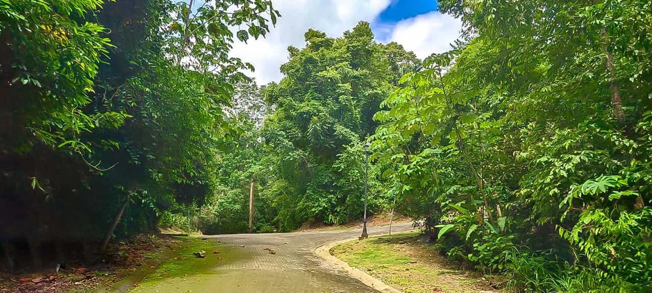 LAND FOR SALE IN COSTA ESTERILLOS ESTATES - photo 4