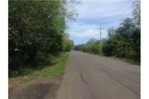 Commercial land in Guanacaste 0.87ha : 900701029-120 - photo 12