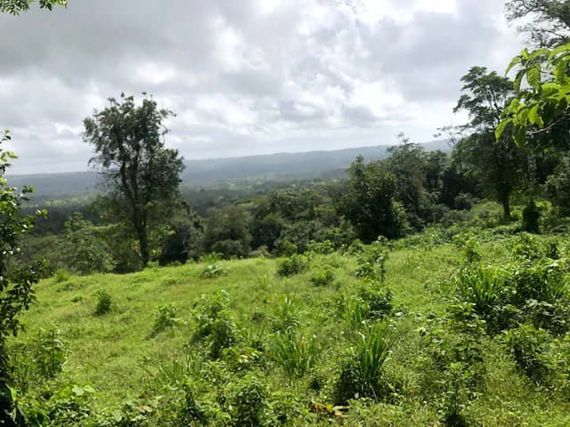 Hot and Cold Thermal Springs for Sale – Beautiful Property in Dos Ríos, Alajuela with Excellent Commercial Potential - photo 51
