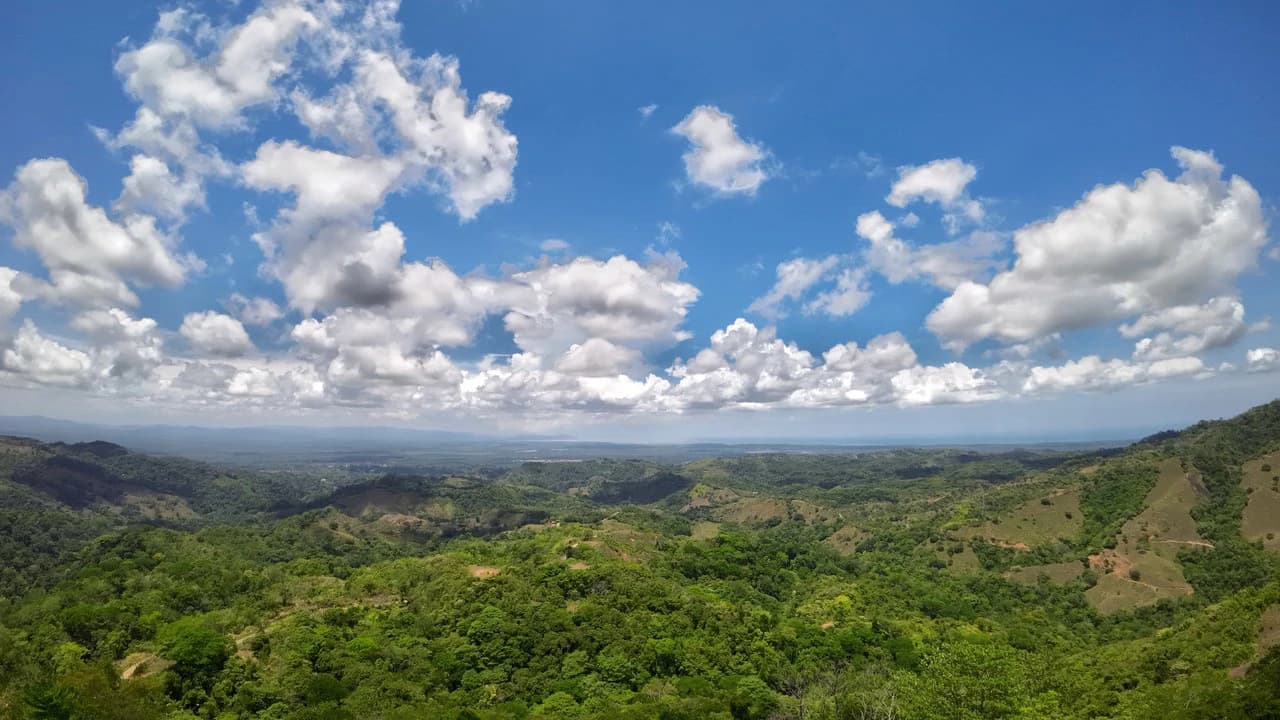 Ocean View Investment Opportunity - photo 23