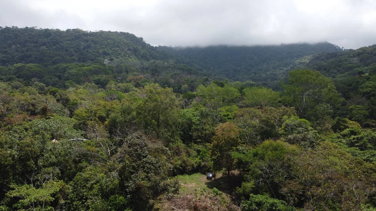 Ocean View Estate Lot with Private Waterfall – Uvita - photo 6