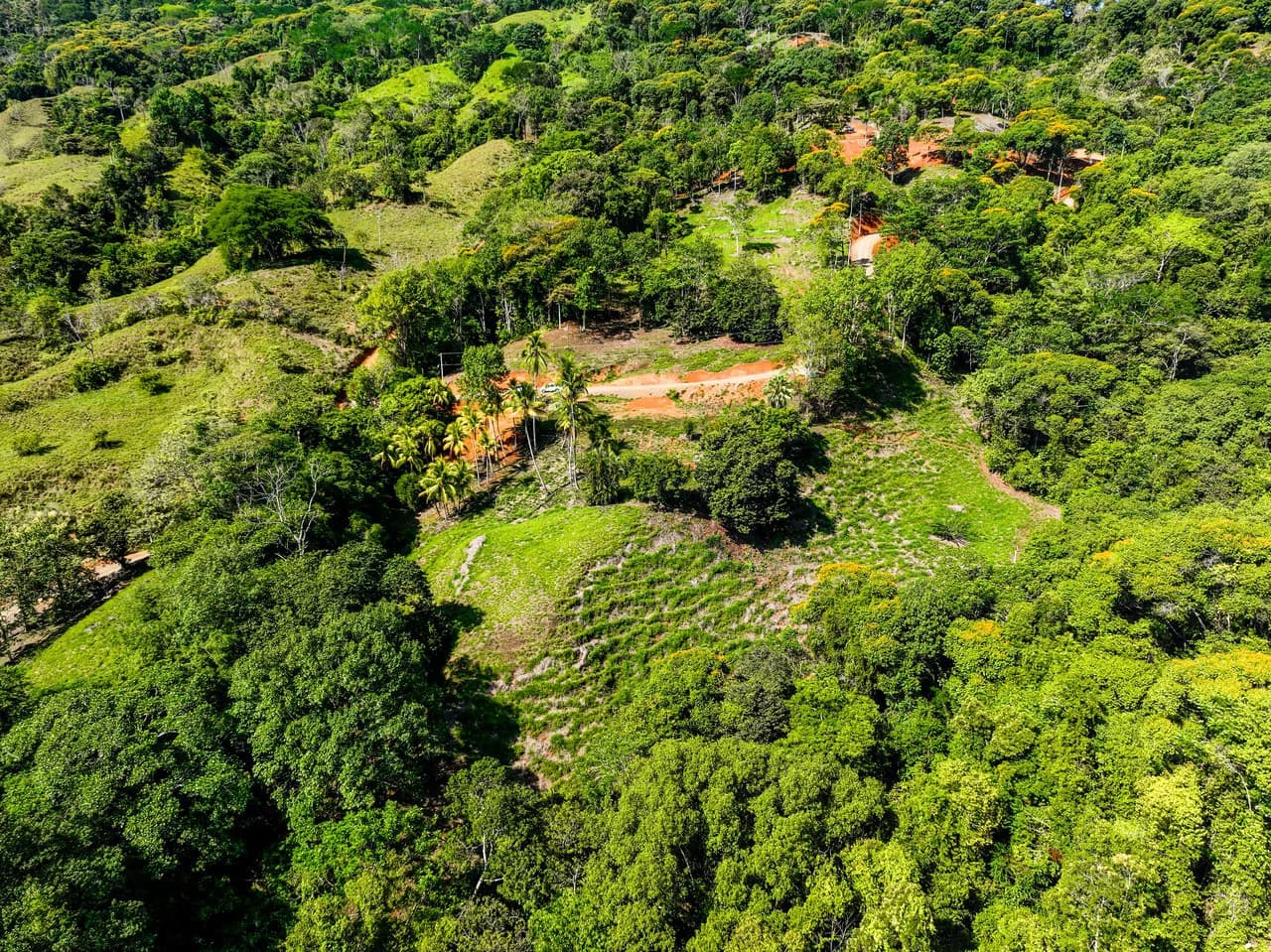 Just Over 3 Acres Riverfront Land in Platanillo Above Dominical - photo 9