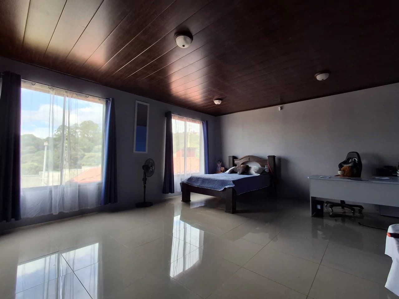 Casa Vista!: 3 level Cityview Hilltop Estate + 27,980m2 - photo 7