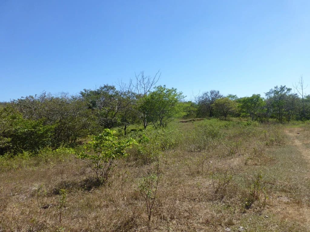 Ocean view farm for sale in the mountains of San Juanillo - photo 2