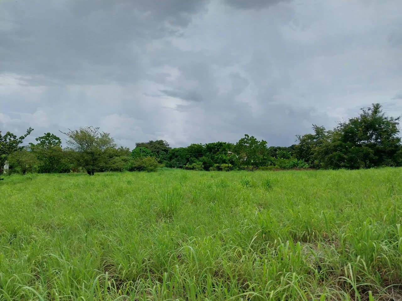 T-182: Volcano view and lot for Sale in Liberia - photo 8