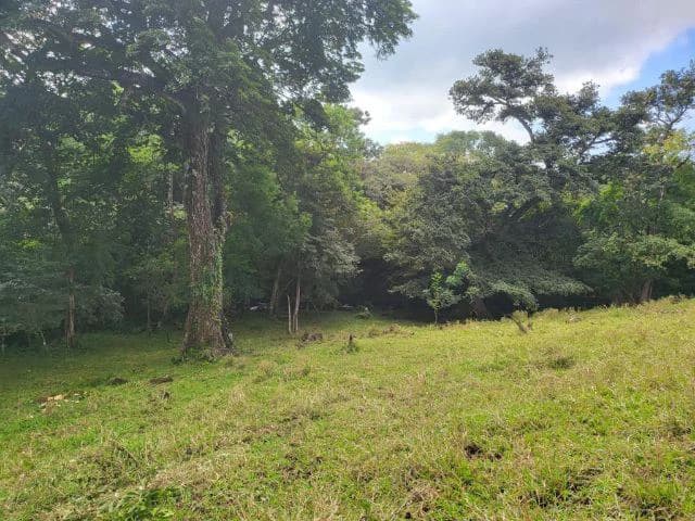 Charming property for sale in Nueva Guatemala with stunning views of the Tenorio Volcano and the beautiful green valleys - photo 7