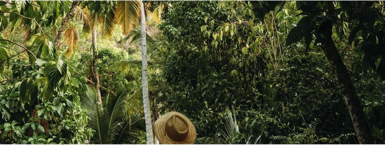 LOT # B131: Live in a Natural Paradise in Costa Rica – Spectacular Beachfront Lot for Sale - photo 7