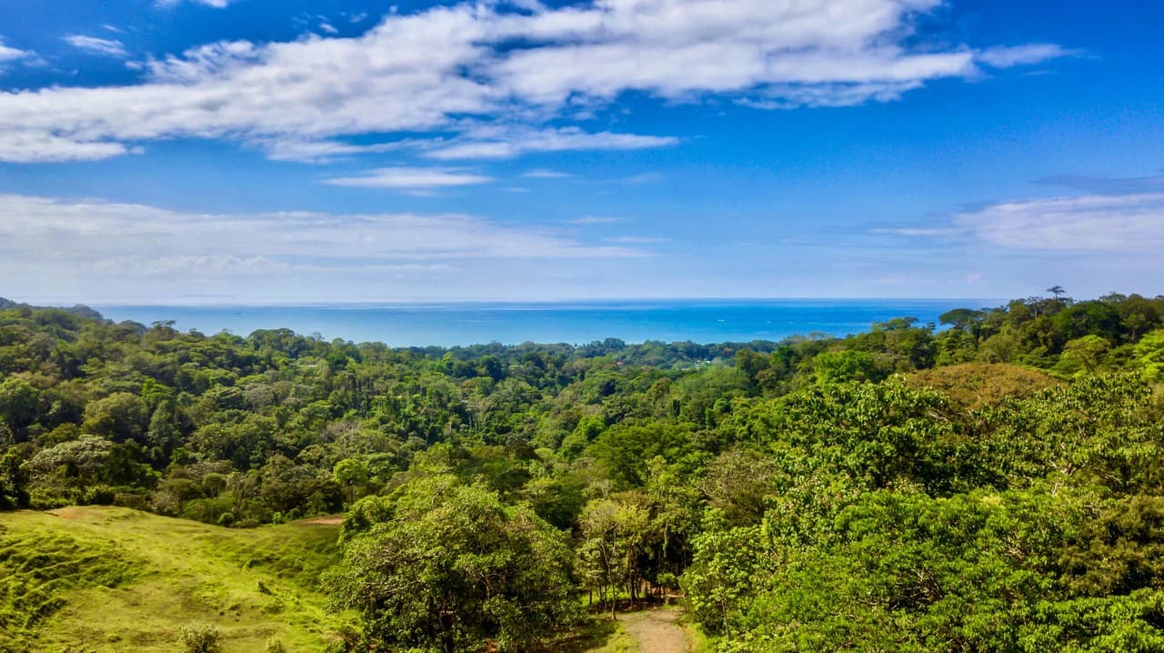 2.24 ACRES – 7 Bedrooms Ocean View Boutique Hotel With Two Pools, 5 Minutes to Uvita, Multiple Rental Options!! - photo 4