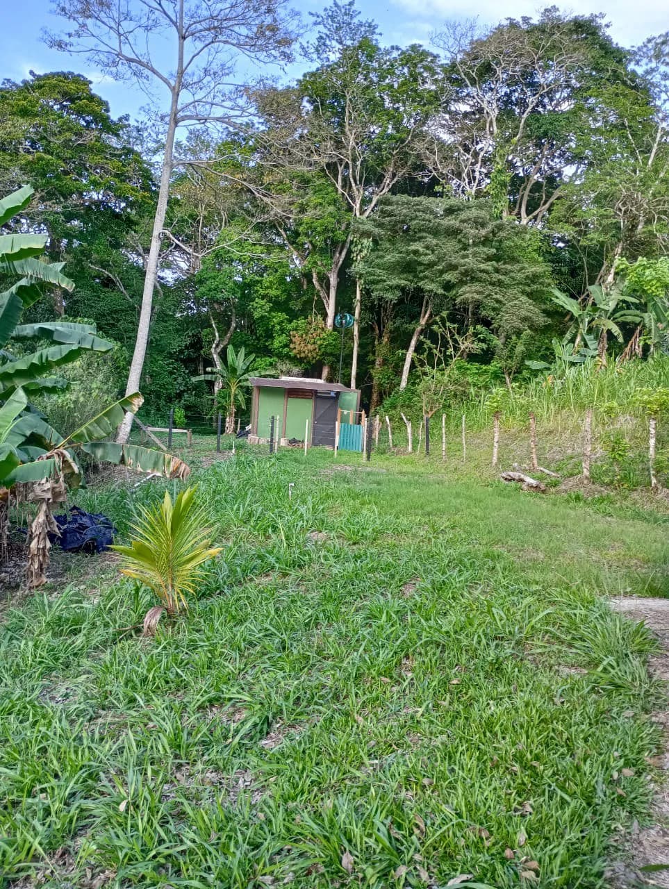 Jungle Paradise: Off Grid Studio Cabina Bordered By A Creek-Perfect For The Nomad Lifestyle - photo 4