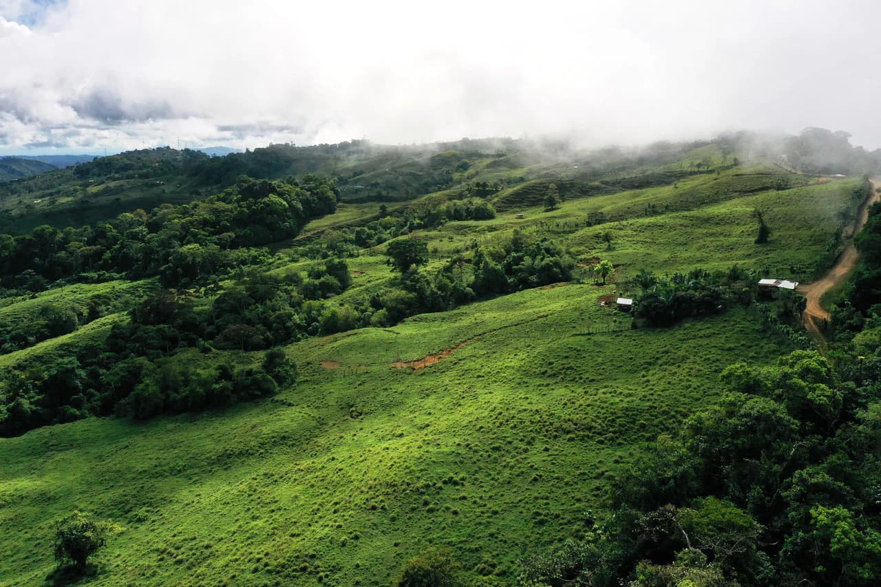 150 Acre Cattle Ranch with Panoramic Views Above the mountains of Uvita - photo 20