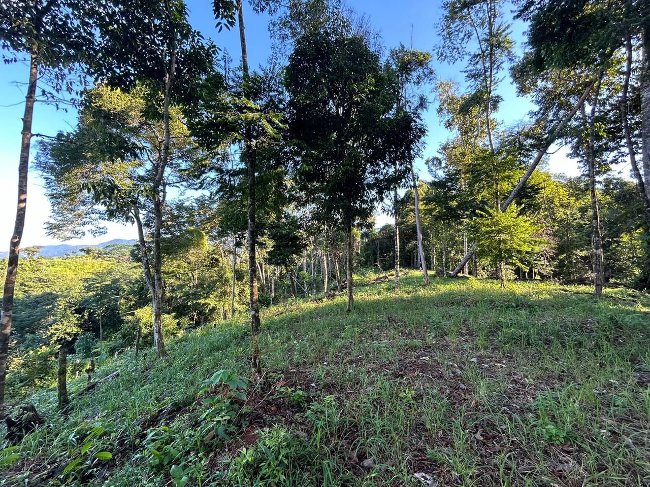 Marvelous Ocean View Parcel in Uvita. - photo 23