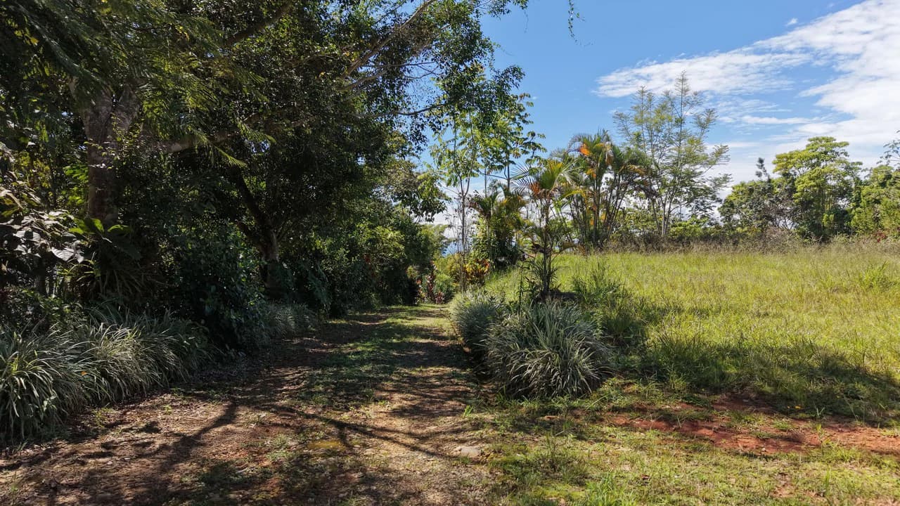 Mountain Home Construction Site For Sale in San Rafael Norte - photo 6