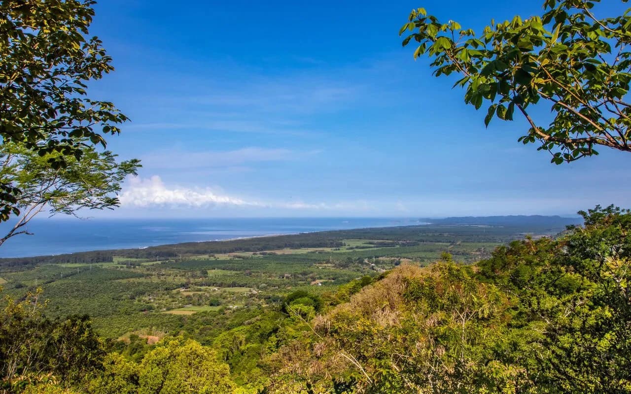 209 ACRES – 3 Bedroom 180 Degree Ocean View Home, Pool, And At Least 4 More Ocean View Building Sites!!!! - photo 26