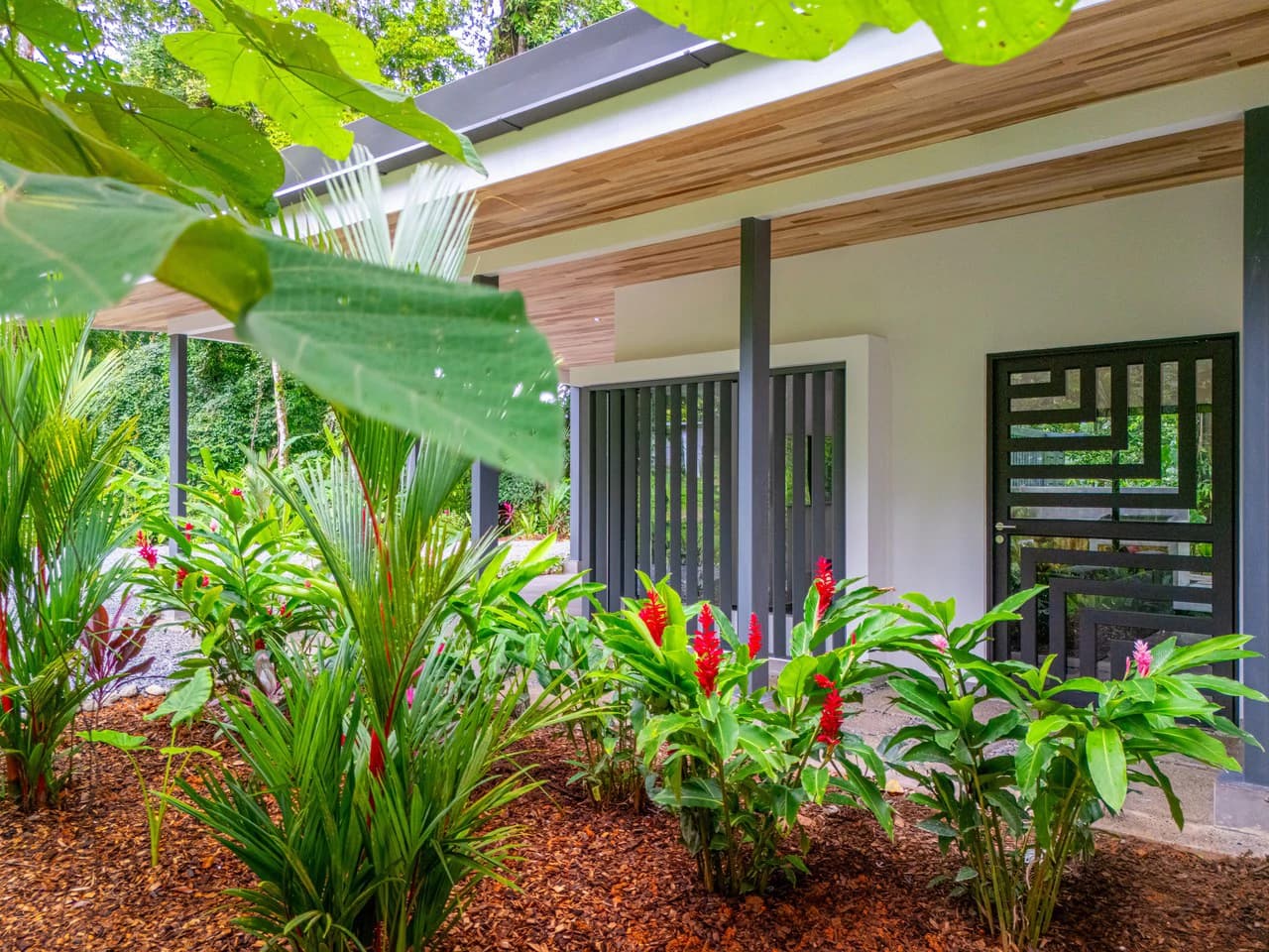 Casa Selva Vida, Uvita Costa Rica: Mountain House For Sale in Uvita - photo 13