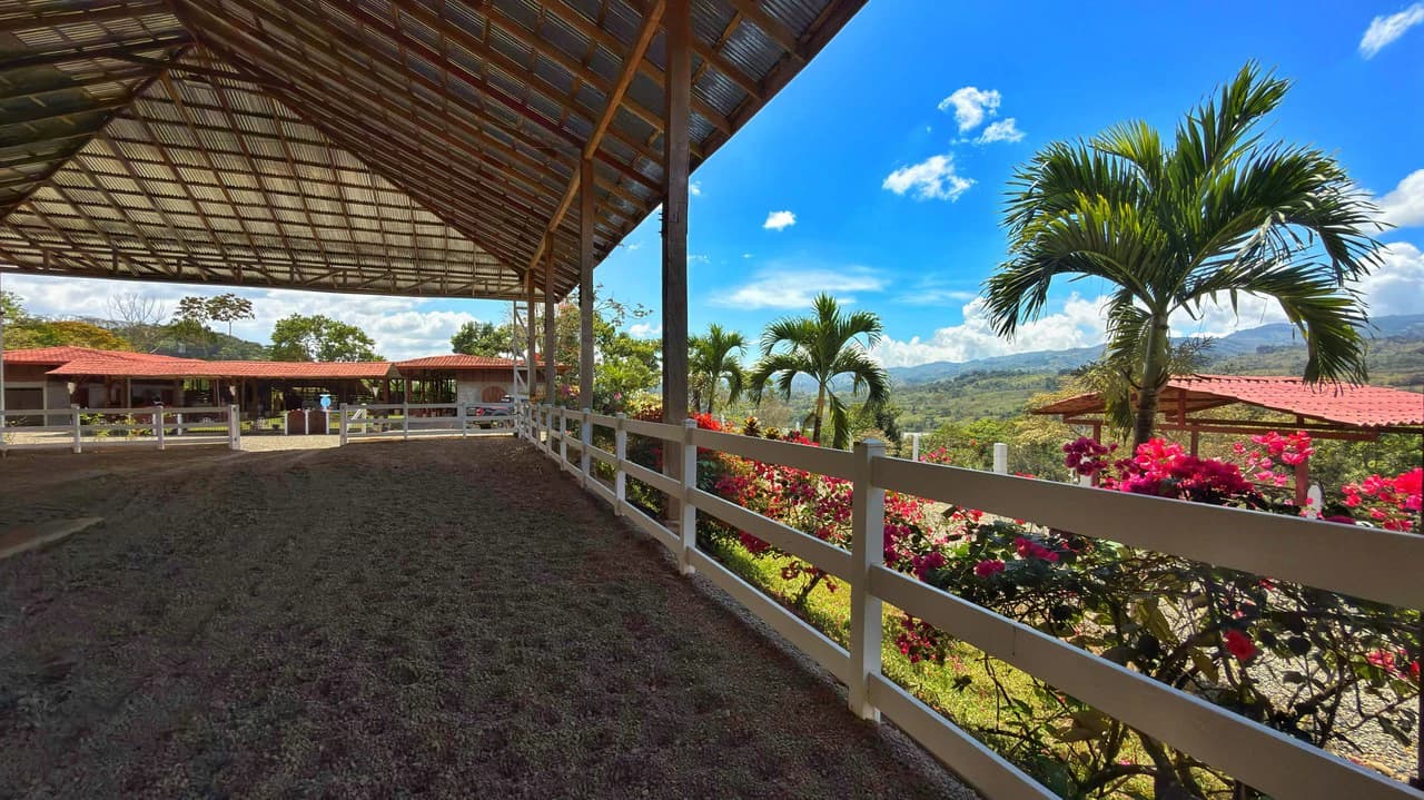 Agricultural Land For Sale in Daniel Flores - photo 15