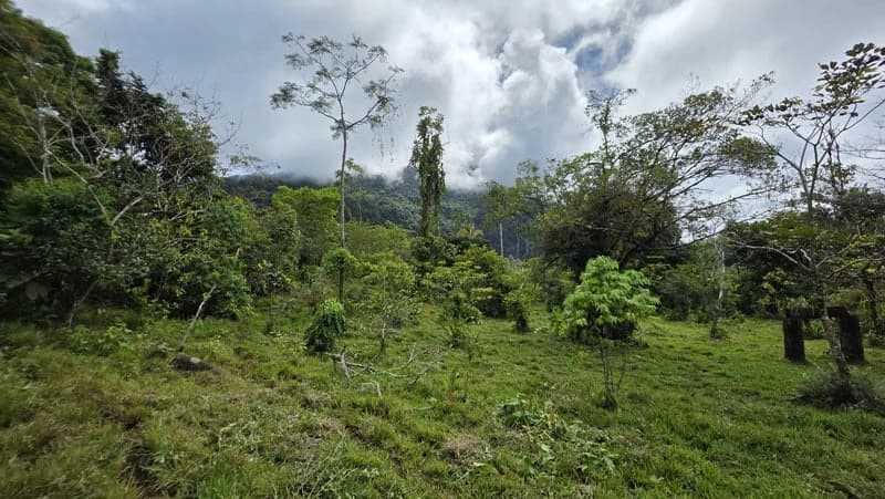 116-Hectare Finca for Sale Near Uvita with Whales Tail Views and 10 Waterfalls | La Faralla, Bahia Ballena, Uvita, Puntarenas, Costa Rica - photo 25