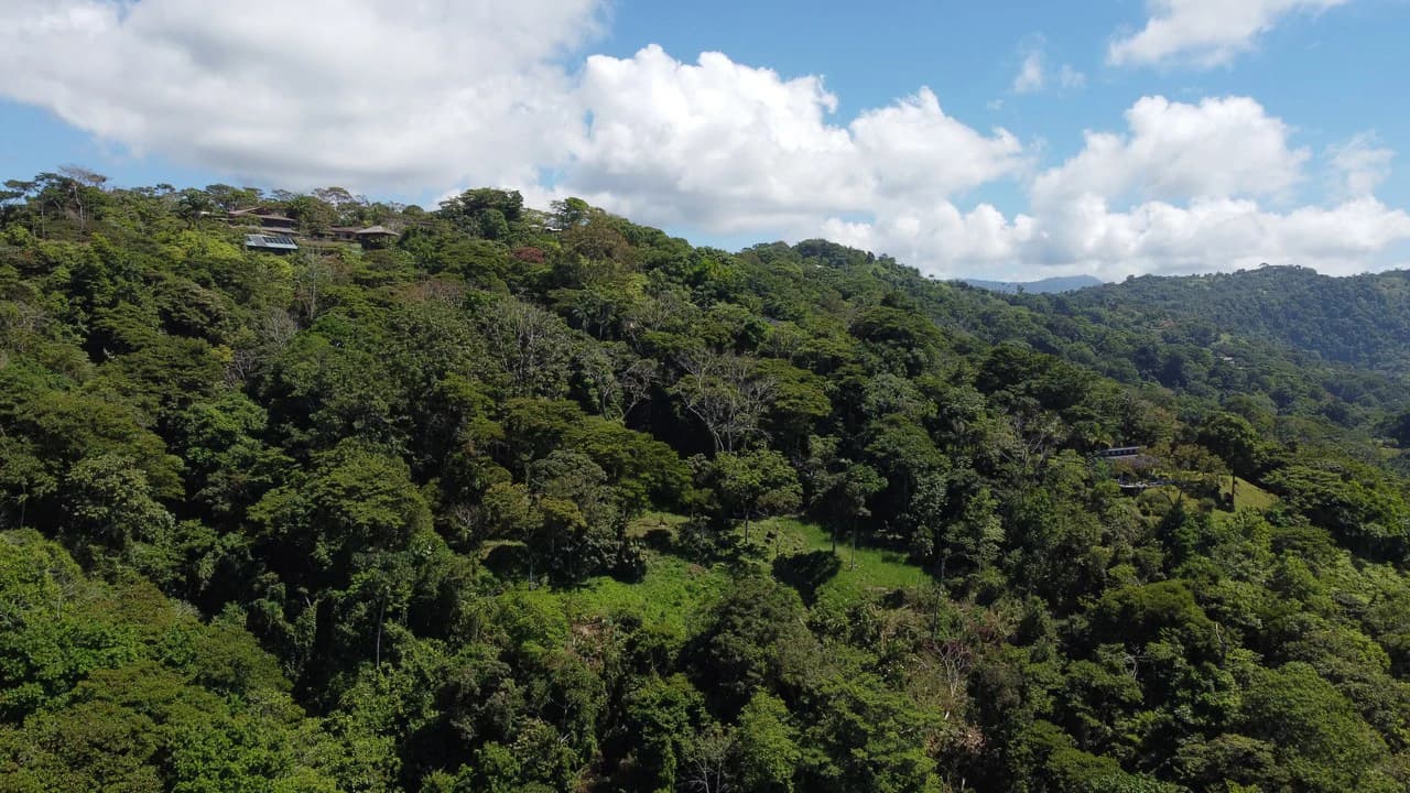 Exclusive 5.80 acres Ocean View Estate Lot in Costa Verde Estates – Escaleras - photo 9