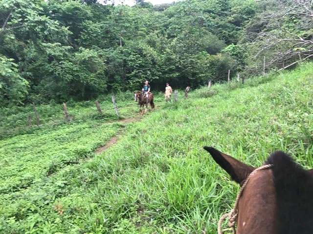 Ocean View Farm - photo 15