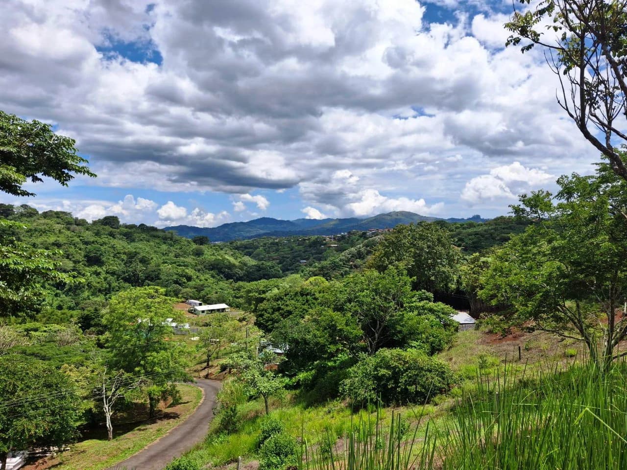 Flat and Private...Beautiful...Flat Lot close to town! - photo 4