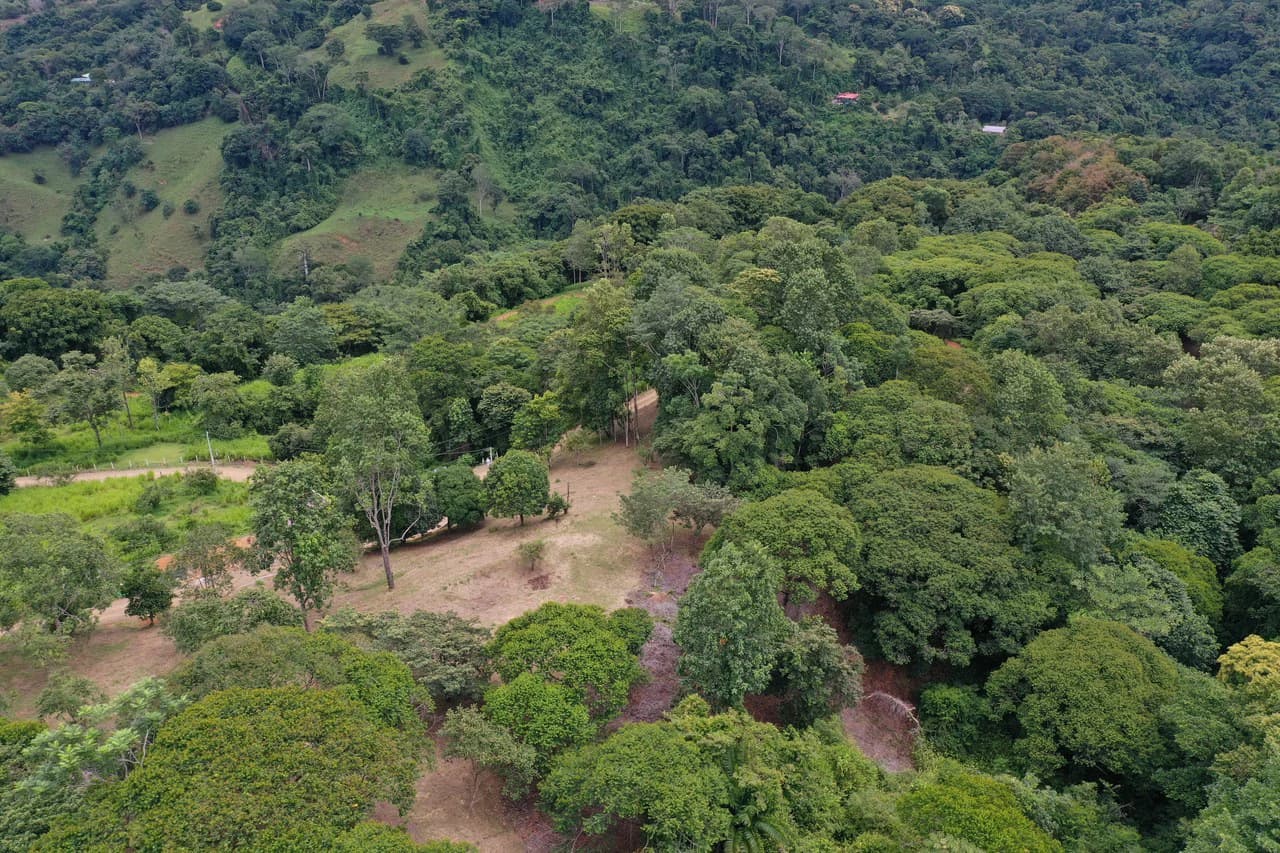 Diamante Waterfall View Land in Dominical 2.9 Acres - photo 35