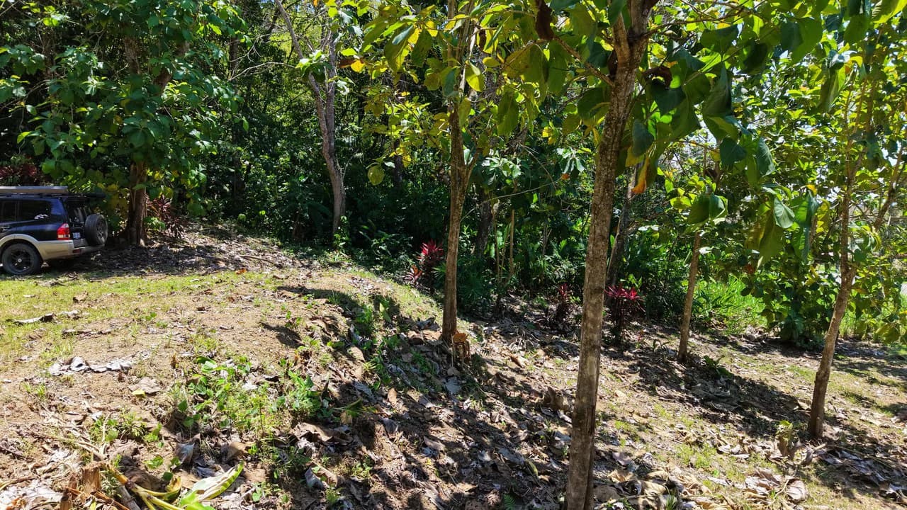 Near the Coast Home Construction Site For Sale in Ciudad Cortés - photo 10