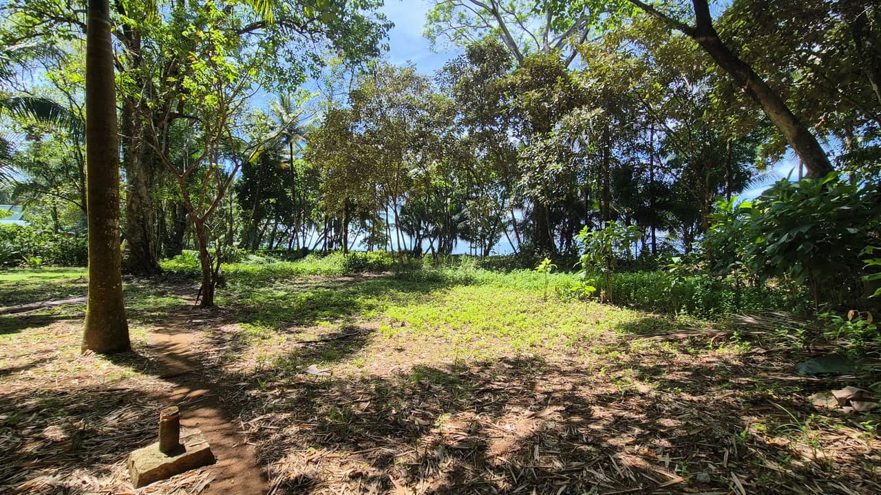 Dream Beachfront Property at Ballena Beach in Uvita, Costa Rica - photo 18
