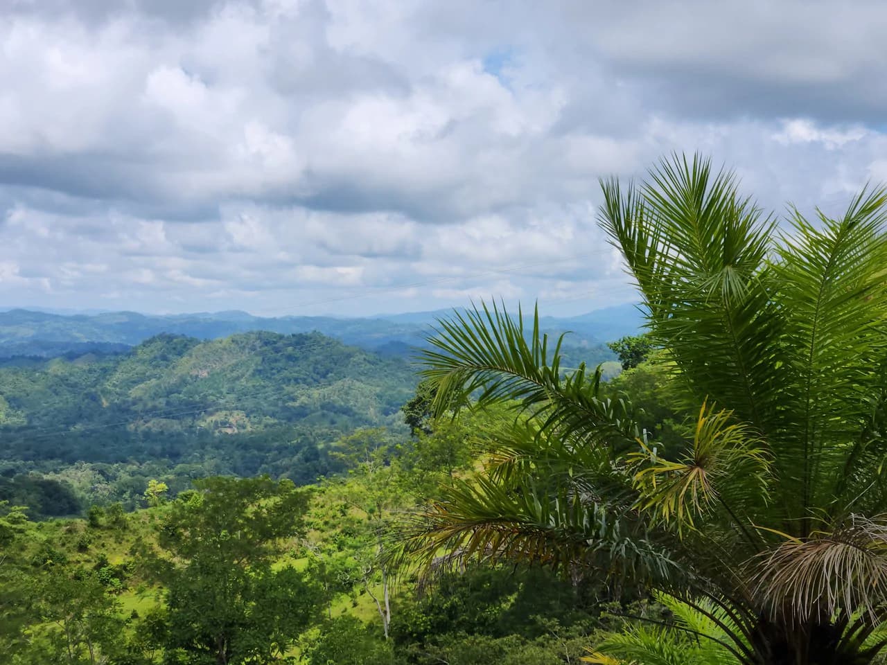 PRIME PARRITA FARM FOR SALE - photo 23