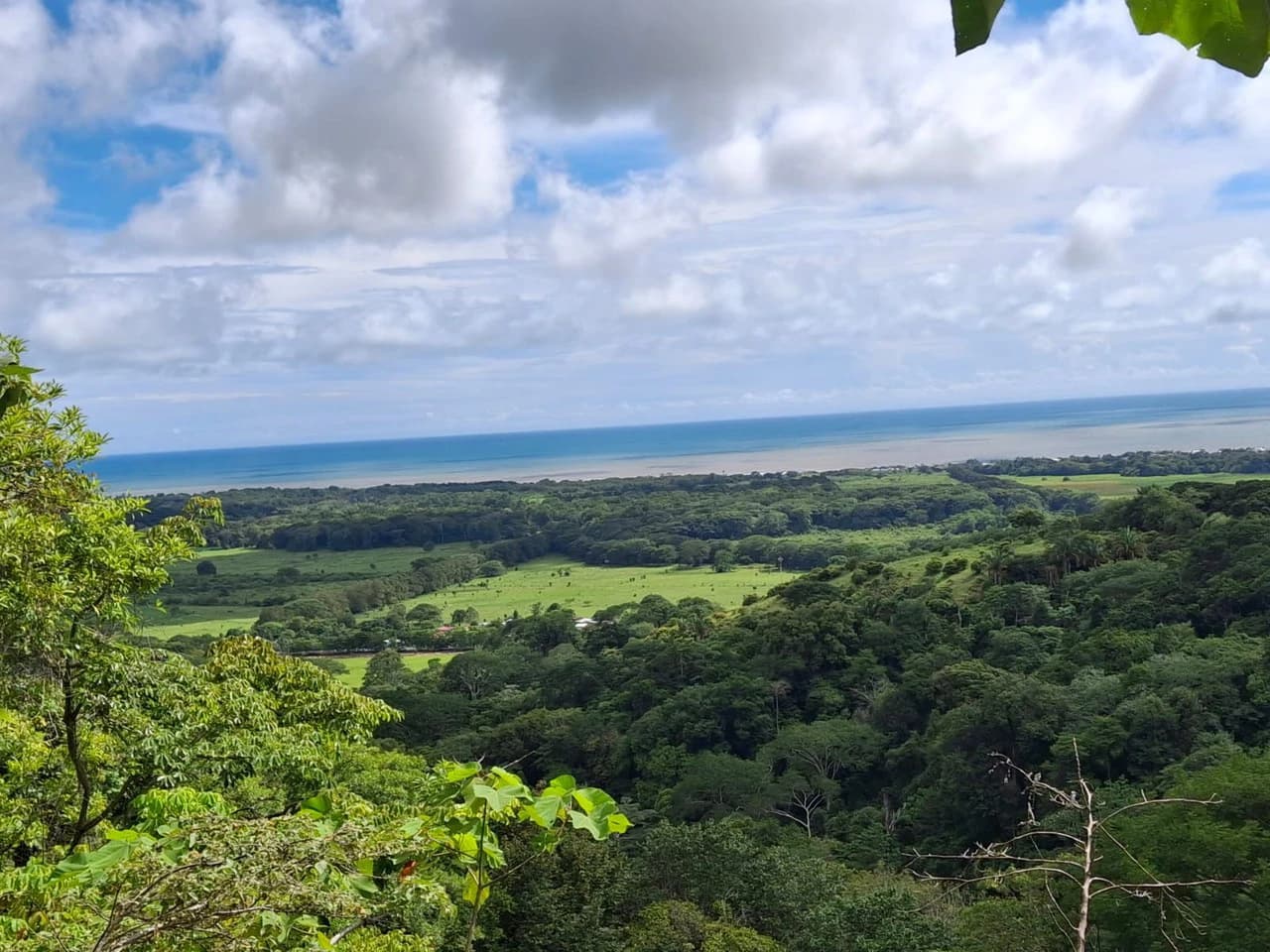 Hilltop Ocean Paradise: 10 ha (103,600m2) for private compound or development - photo 9