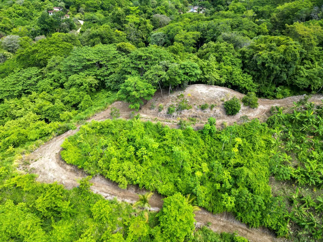 Finca Montana: 125 Acre Finca With Stunning Ocean Views - photo 9