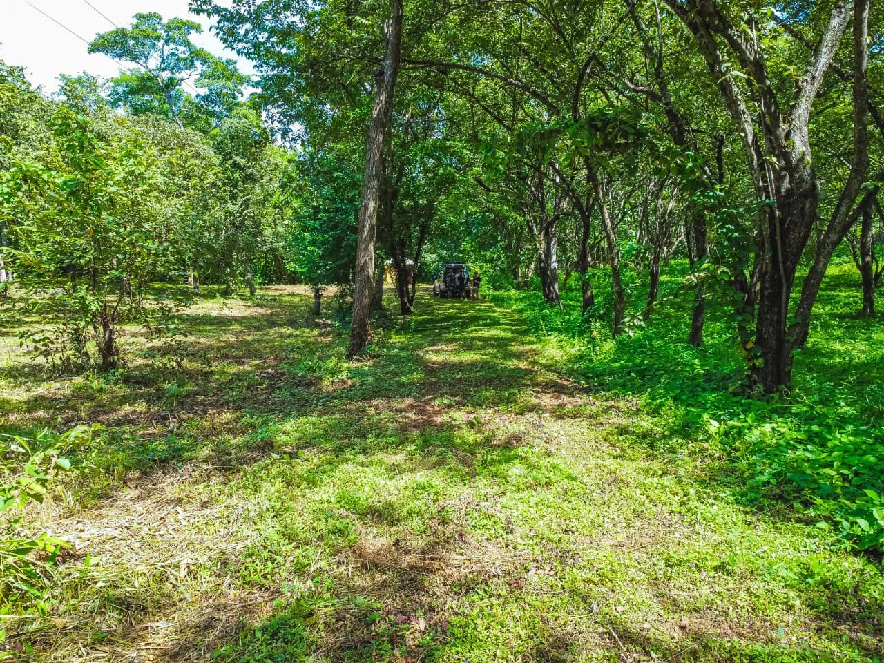 Residential Lot in Rancho Tranquilo - photo 6