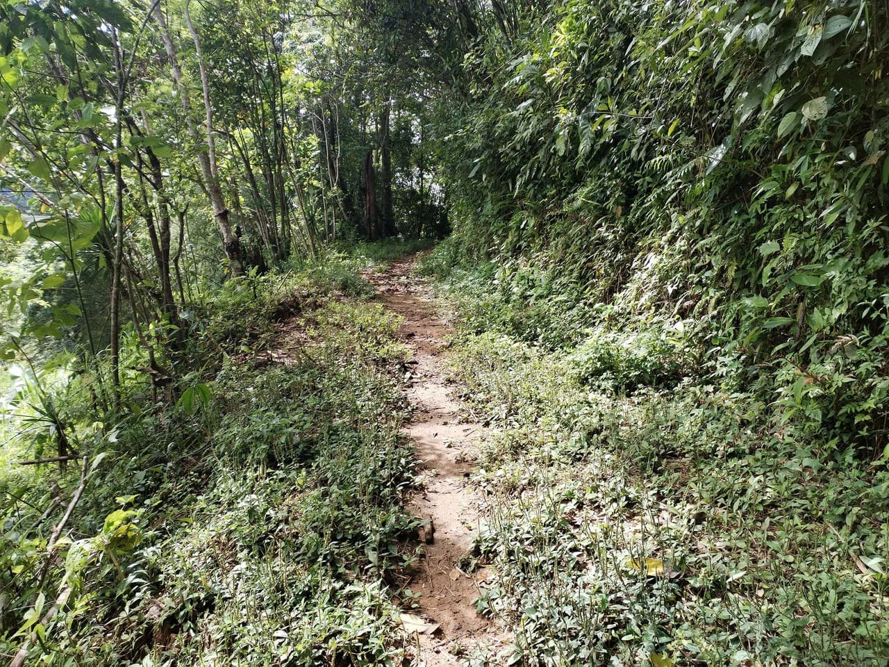 LOTE EN HERRADURA RIVAS.: Mountain Agricultural Land For Sale in San Isidro del General - photo 23