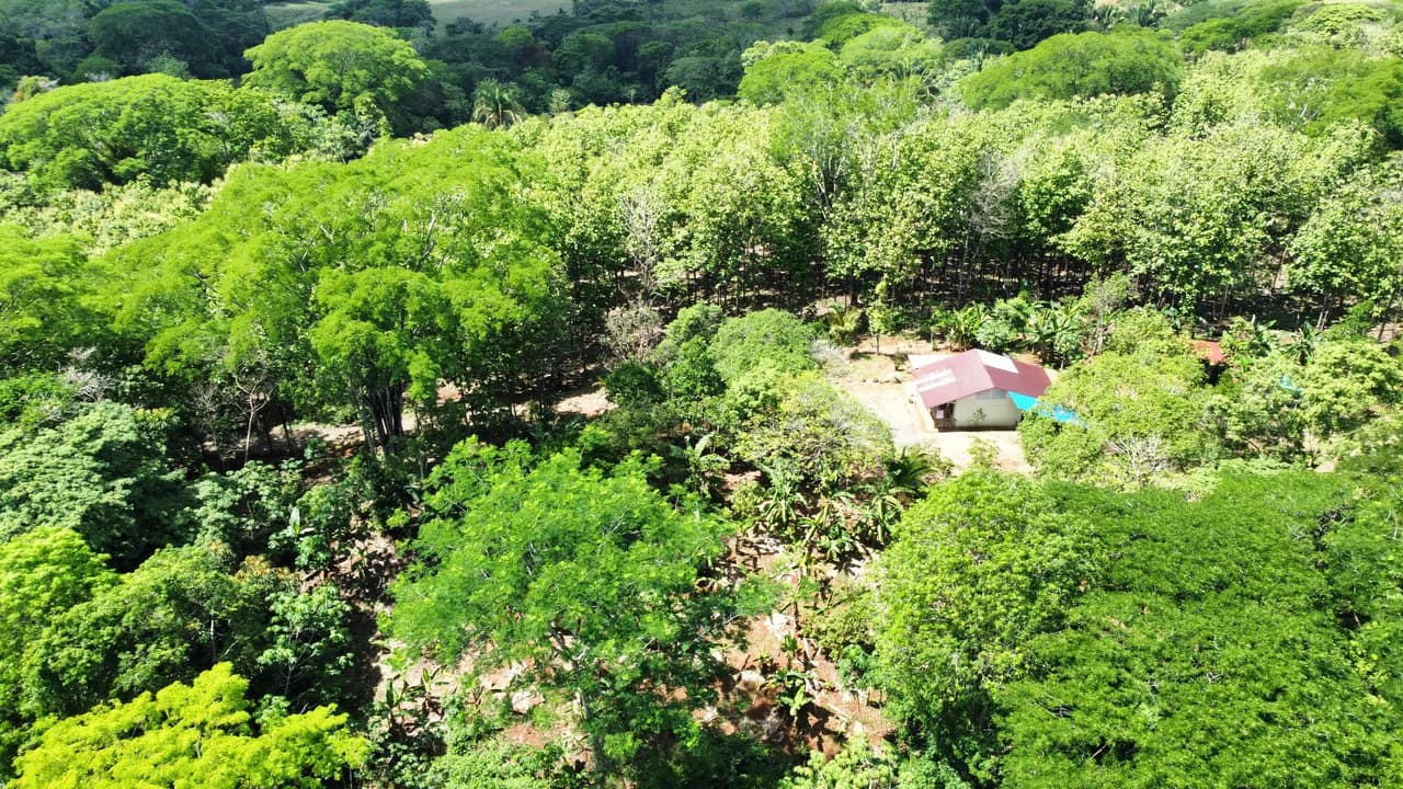 7-Hectare Farm with Teak Plantation, Existing Home & Eco-Development Potential Near Parrita, Costa Rica - photo 6