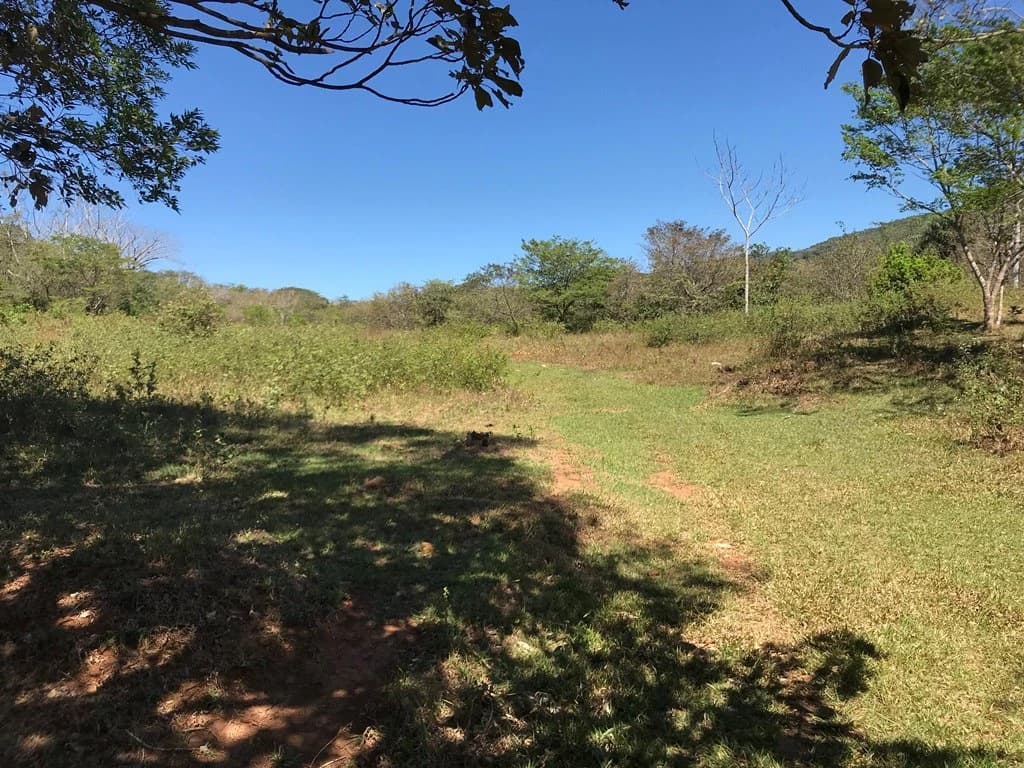Ocean view farm for sale in the mountains of San Juanillo - photo 8