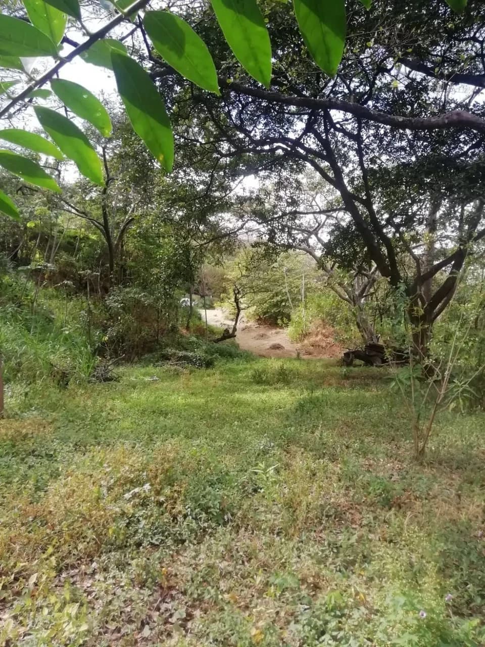 Beautiful lot in Santa Ana for a Developer - photo 6